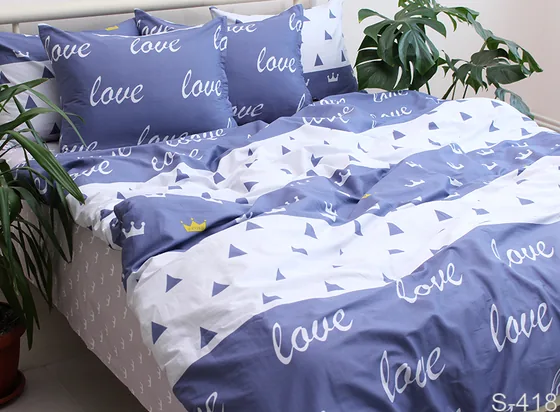 Комплект постільної білизни з компаньйоном S418