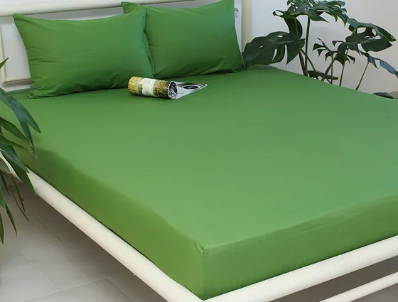 Простирадло на гумці (180х200х20) Cactus