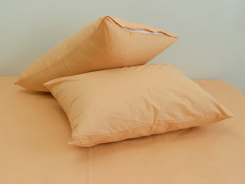 Комплект постільної білизни 2-сп. Apricot Cream