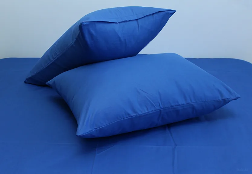 Комплект постільної білизни евро Princess Blue